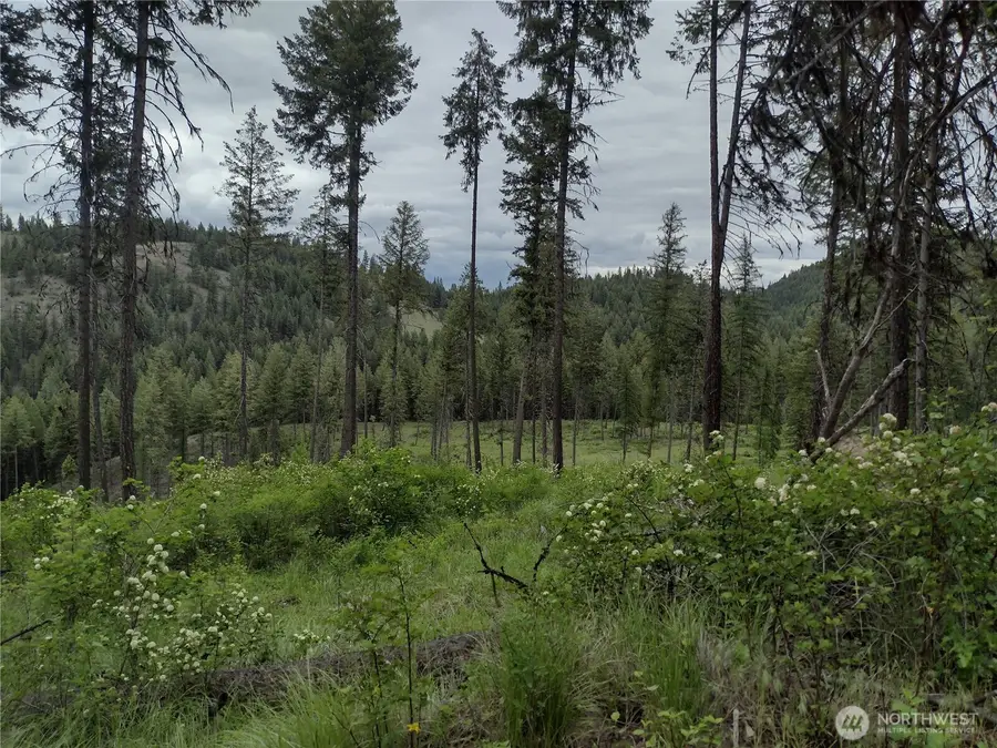 39 Leonard Lane, Curlew, WA 99118 - #2