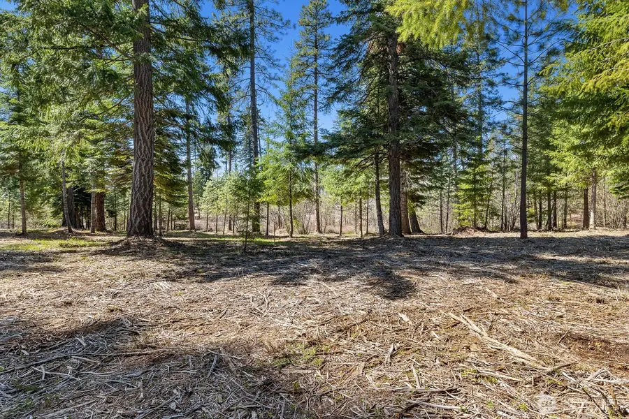 15 Old Grove Trail #15, Cle Elum, WA 98922 - #2