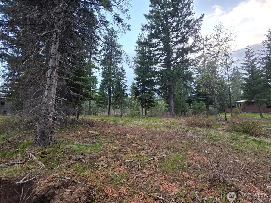 15 Old Grove Trail #15, Cle Elum, WA 98922 - #3