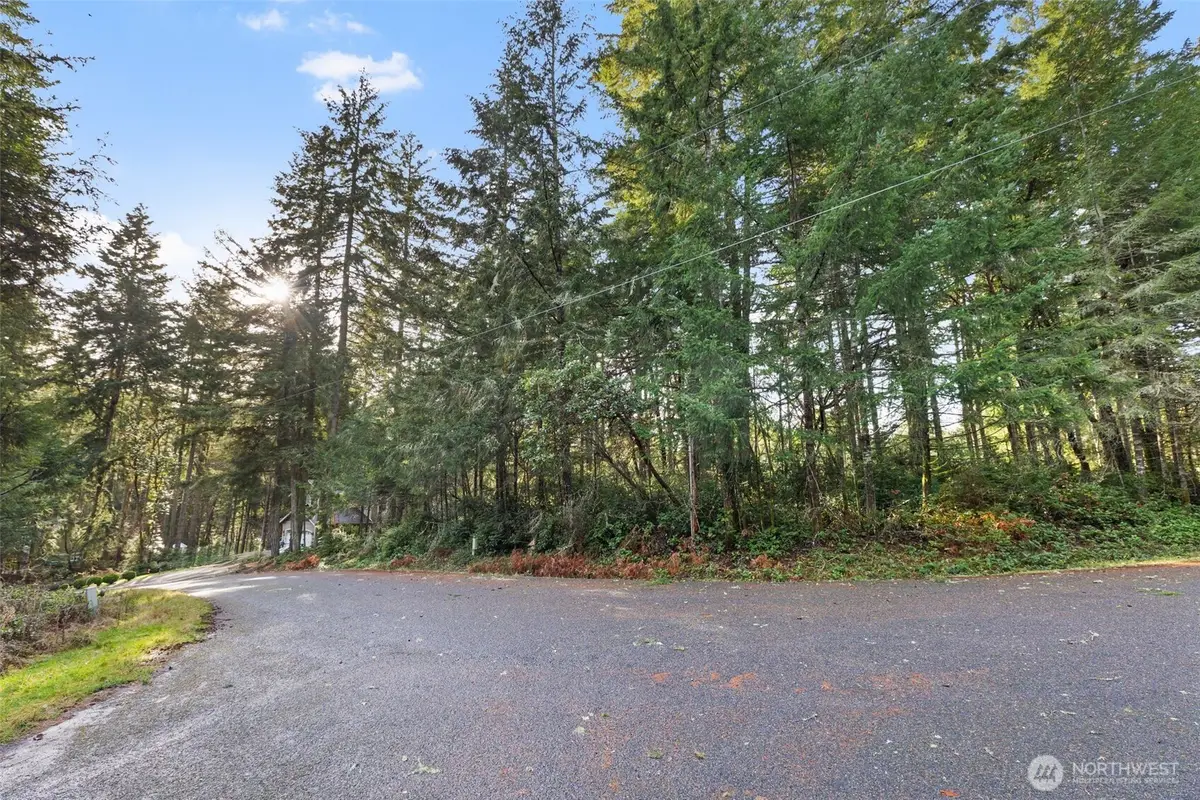 10510 Olympic Place, Anderson Island, WA 98303 - #1