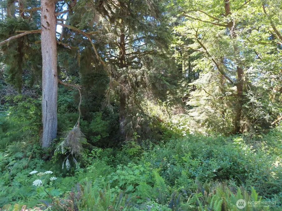 0 State Route 101, South Bend, WA 98586 - #2