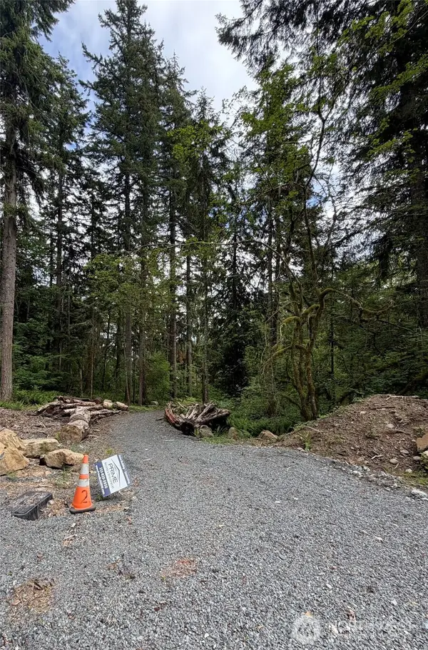 55015 315th Avenue, Ashford, WA 98304
