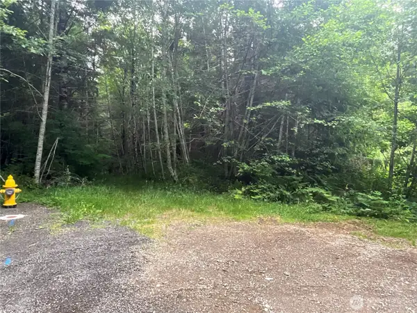 310 W Thunderbird Drive #Lot 30, Elma, WA 98541