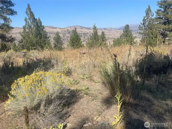 0 Reevas Basin Road #1&2, Tonasket, WA 98855