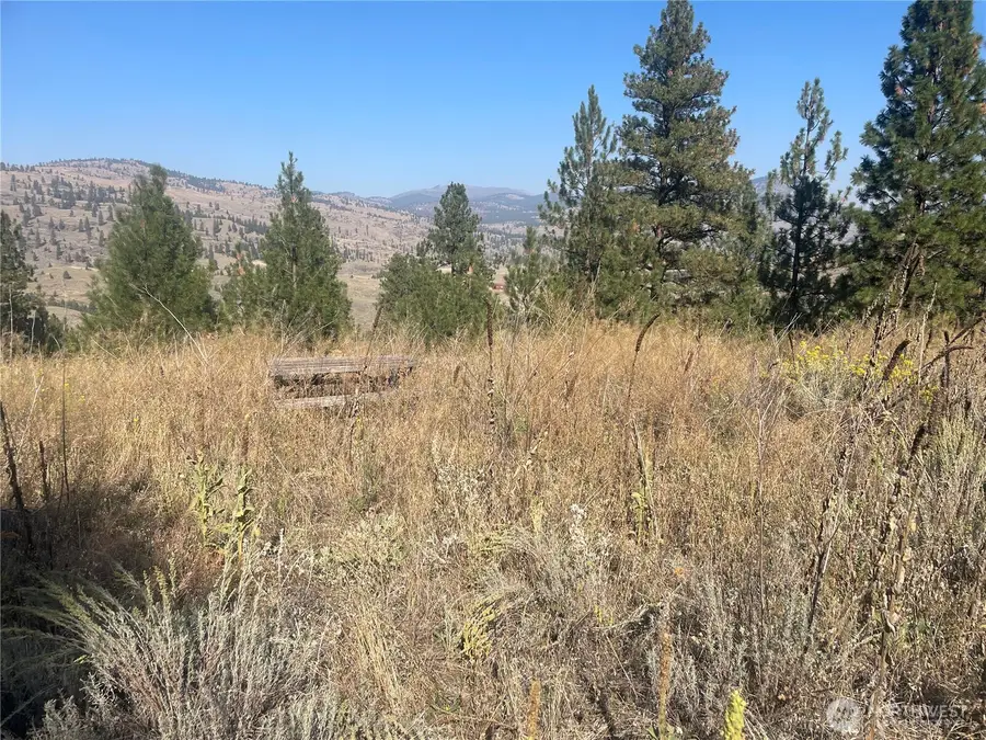 0 Reevas Basin Road #1&2, Tonasket, WA 98855 - #3