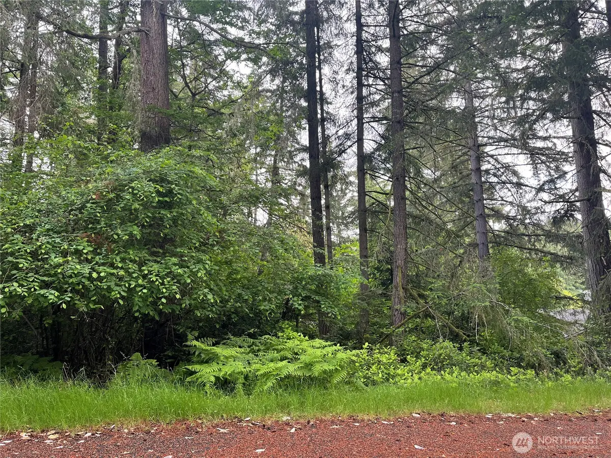 11111 Juniper Place #155, Anderson Island, WA 98303 - #1