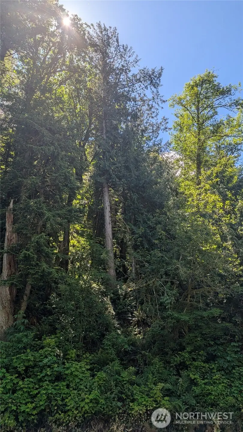 0 St. Route 508 Highway, Morton, WA 98356 - #1