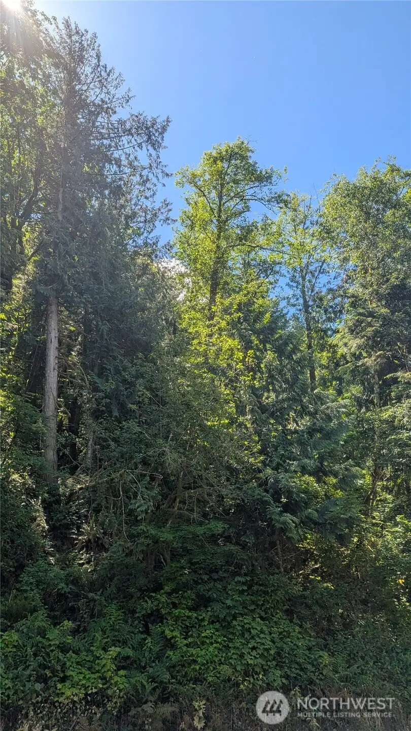 0 St. Route 508 Highway, Morton, WA 98356 - #2