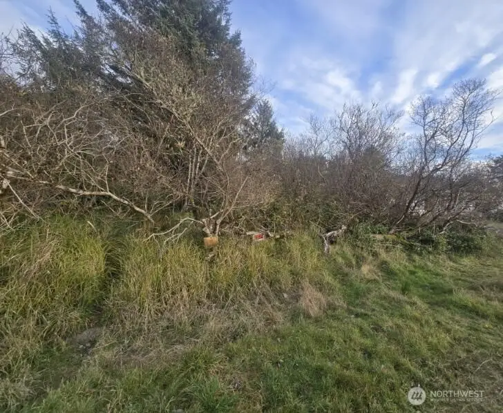570 NE Puffin Avenue, Ocean Shores, WA 98569 - #1