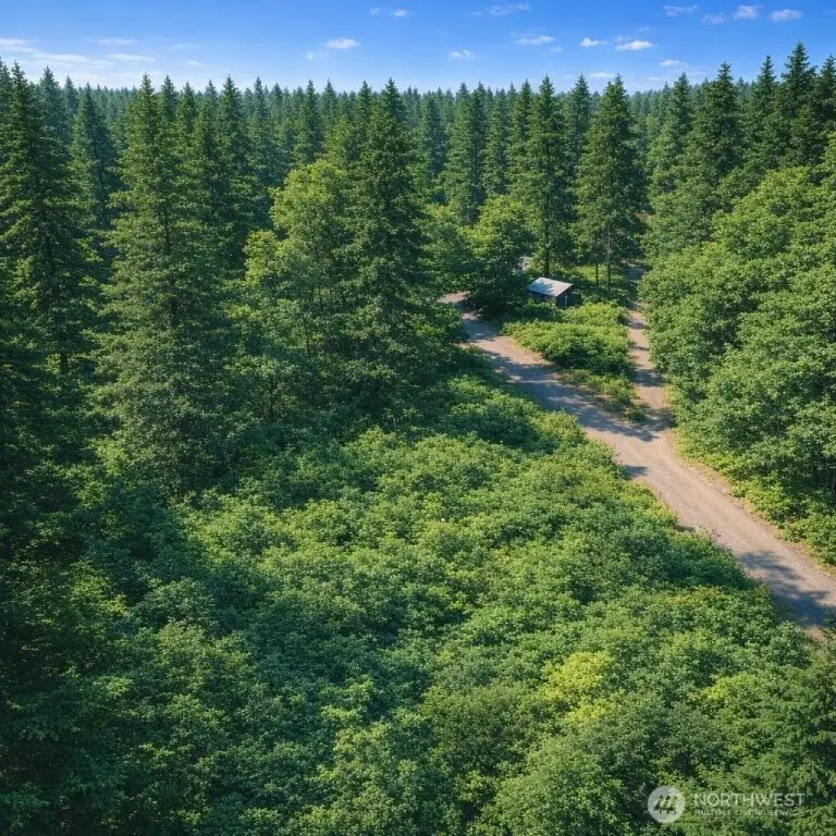 56925 382nd Avenue E, Ashford, WA 98304 - #3