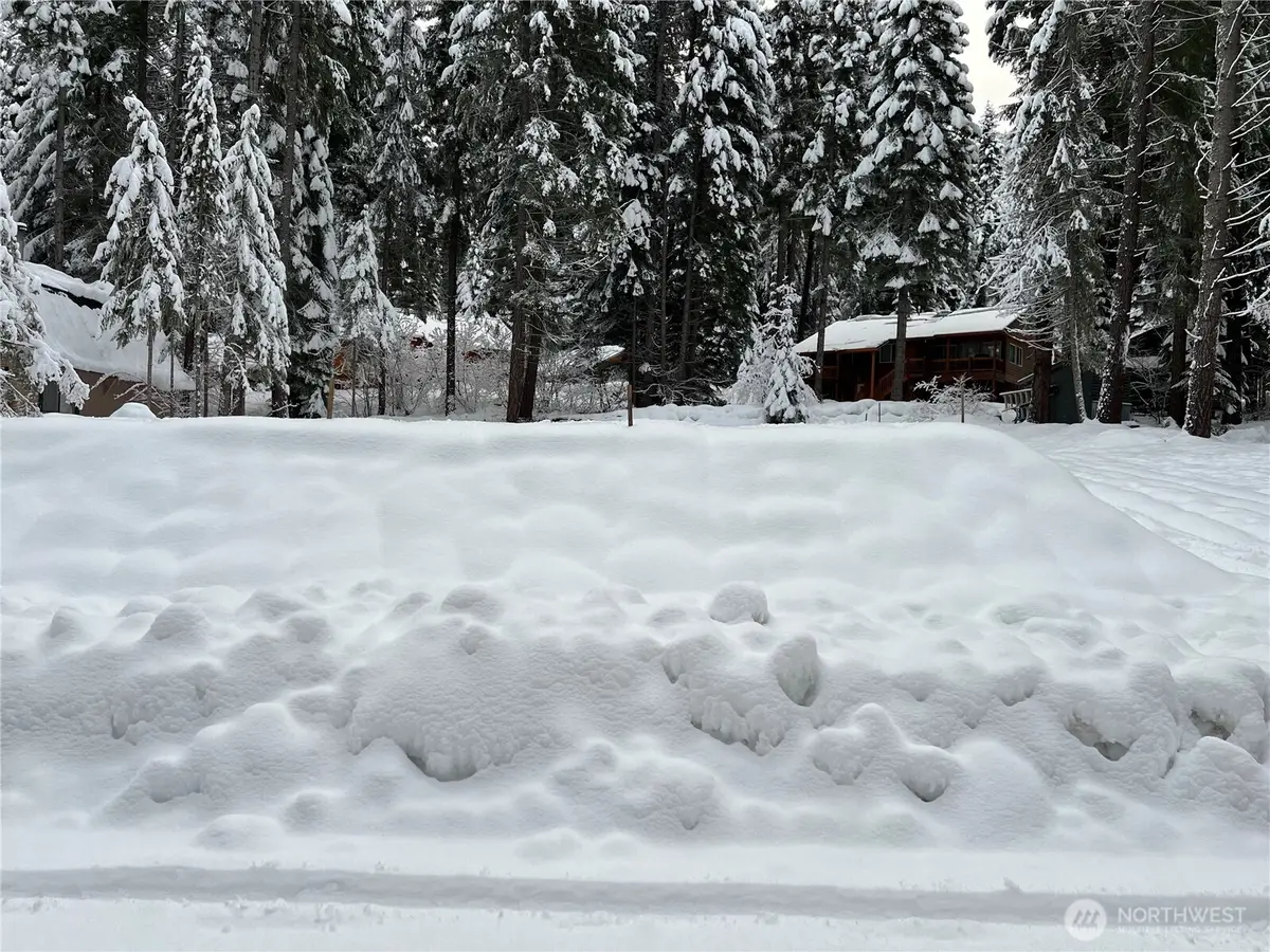 3031 Memory Lane #31 and 32, Leavenworth, WA 98826 - #1