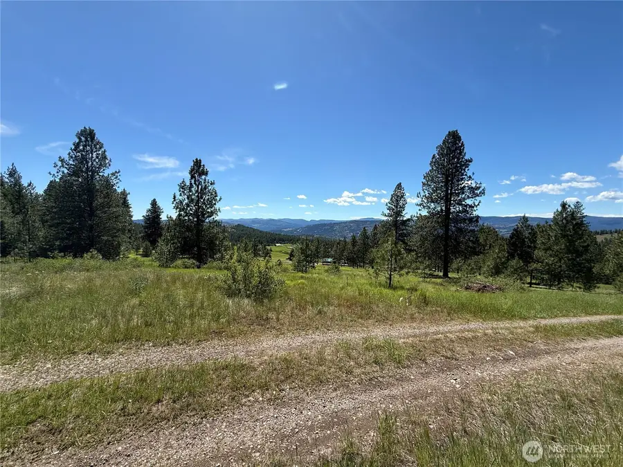 5 Hidden Spring Ranch Road #Lot 2, Republic, WA 99166 - #2