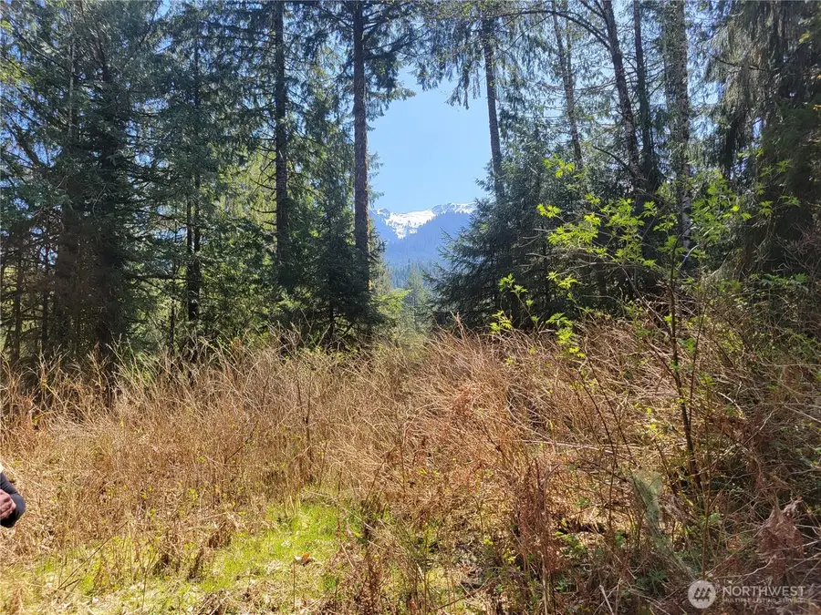 0 Mtn Loop Highway, Granite Falls, WA 98252 - #2
