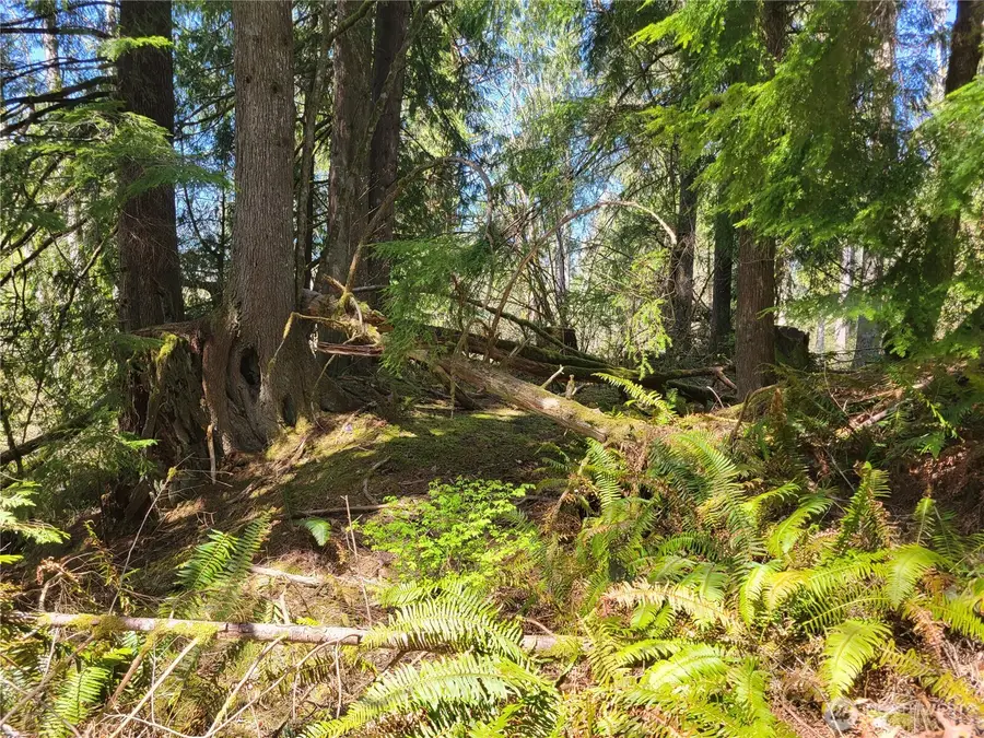 0 Mtn Loop Highway, Granite Falls, WA 98252 - #3