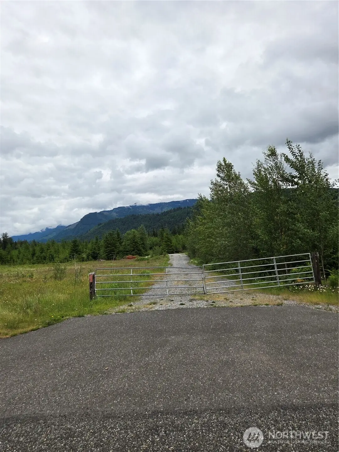 9242 Heady Road, Sumas, WA 98295 - #1