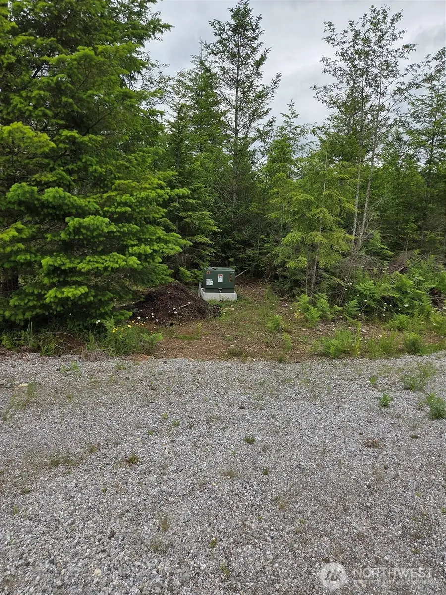 9242 Heady Road, Sumas, WA 98295 - #2