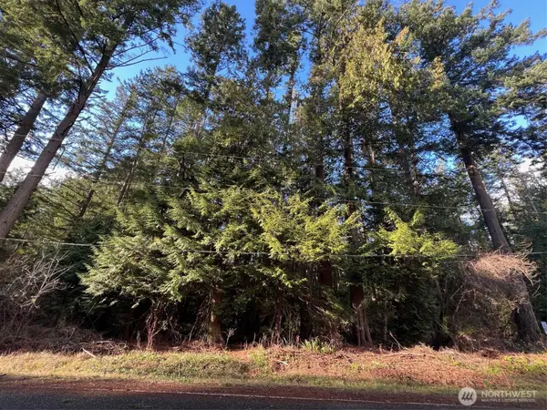 0 Mill Road #1, Point Roberts, WA 98281