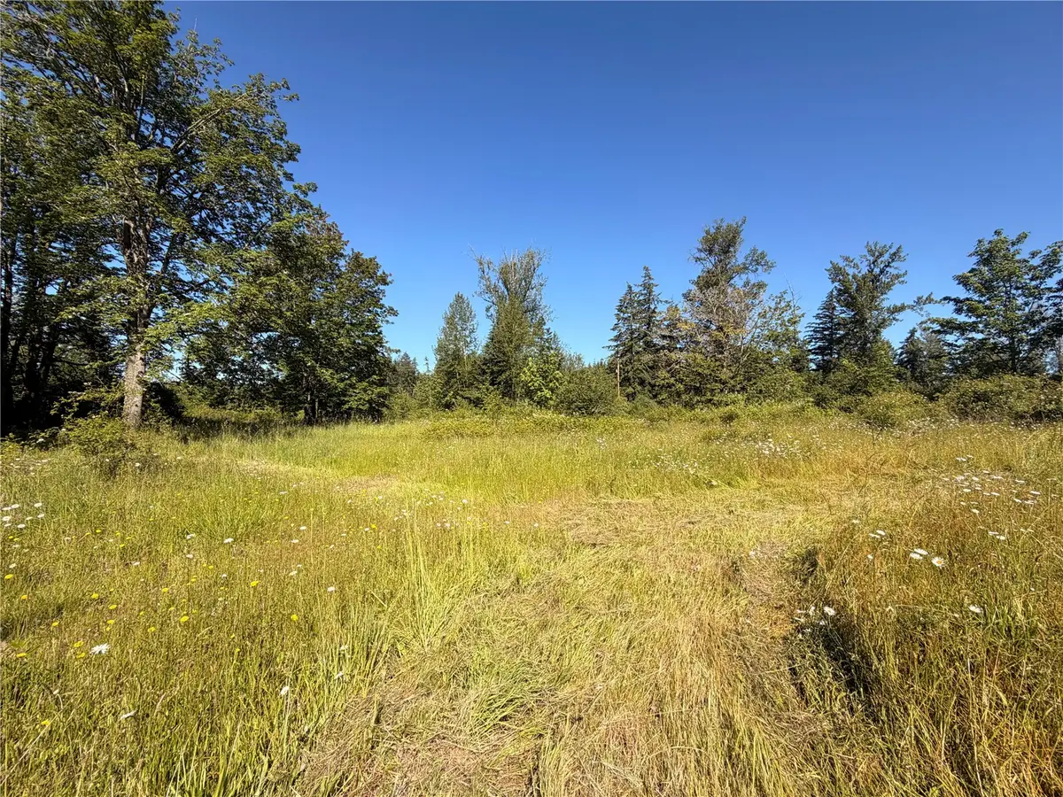10252 400th Street E, Eatonville, WA 98328 - #1