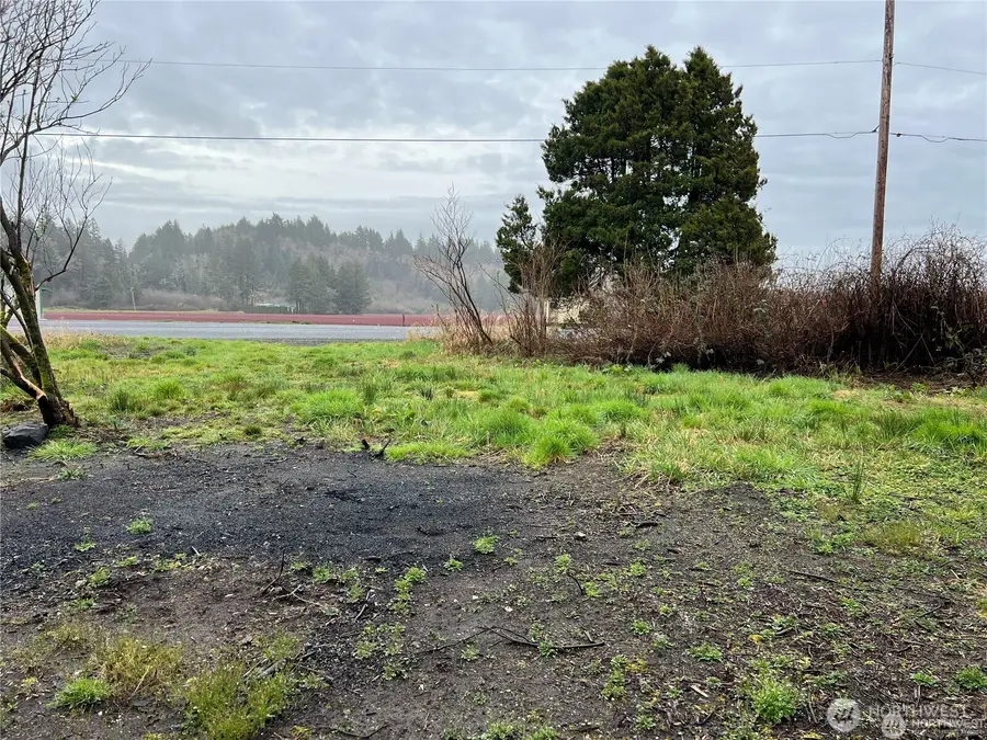 2361 Evergreen Park Road, Grayland, WA 98547 - #3