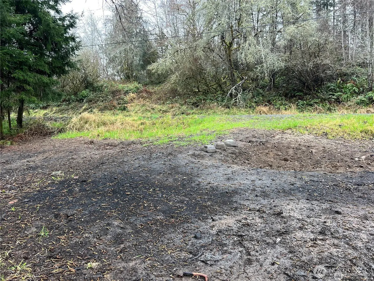 0 Willapa Road #Tract 41, Raymond, WA 98577 - #1