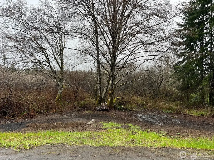 0 Willapa Road #Tract 41, Raymond, WA 98577 - #3