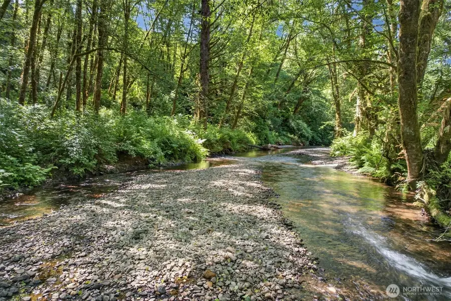 344 N Hull Creek Road, Grays River, WA 98621 - #2