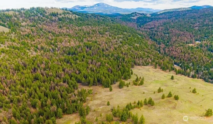 0 Xyz Cougar Creek Road, Wauconda, WA 98859 - #1