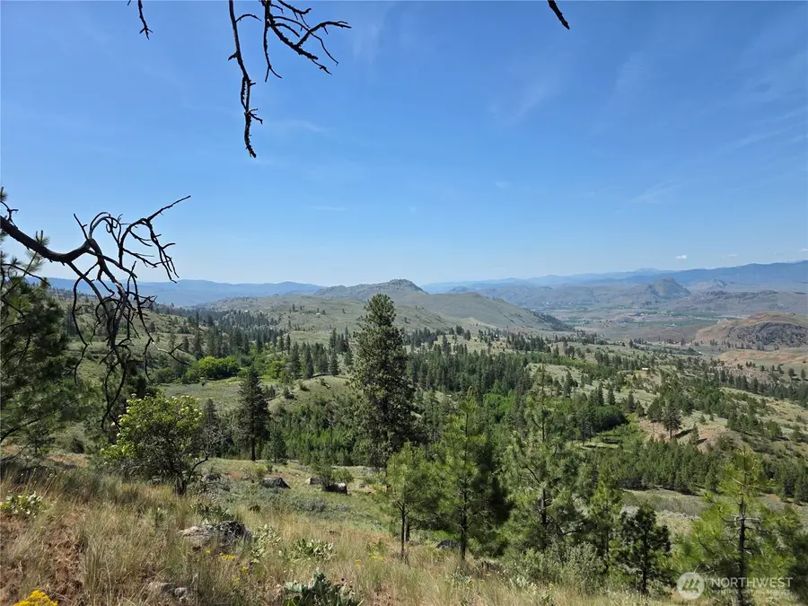431 Swanson Hill Road, Tonasket, WA 98855 - #3