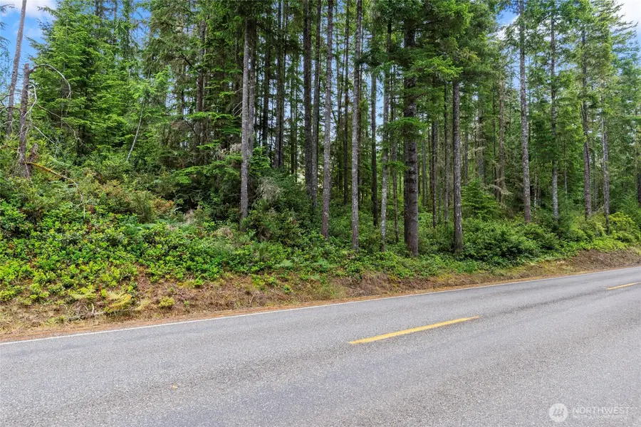 4611 E Rasor Road W #49, Belfair, WA 98528 - #3