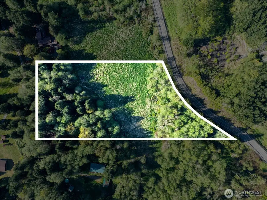 0 Davis Lake Road, Morton, WA 98356 - #2