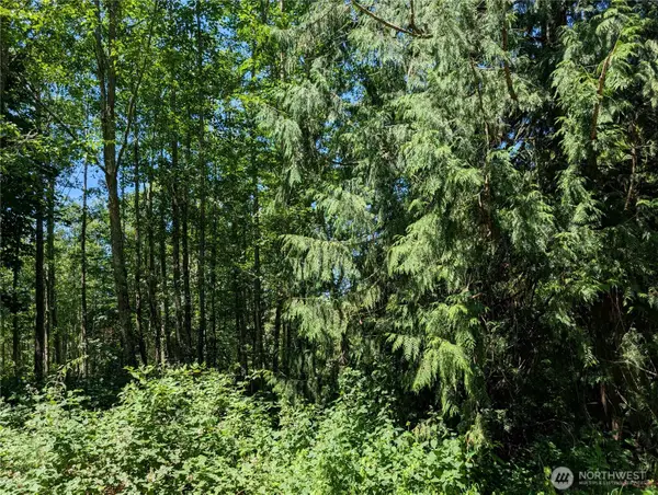 21646 Snowden Drive, Mount Vernon, WA 98274