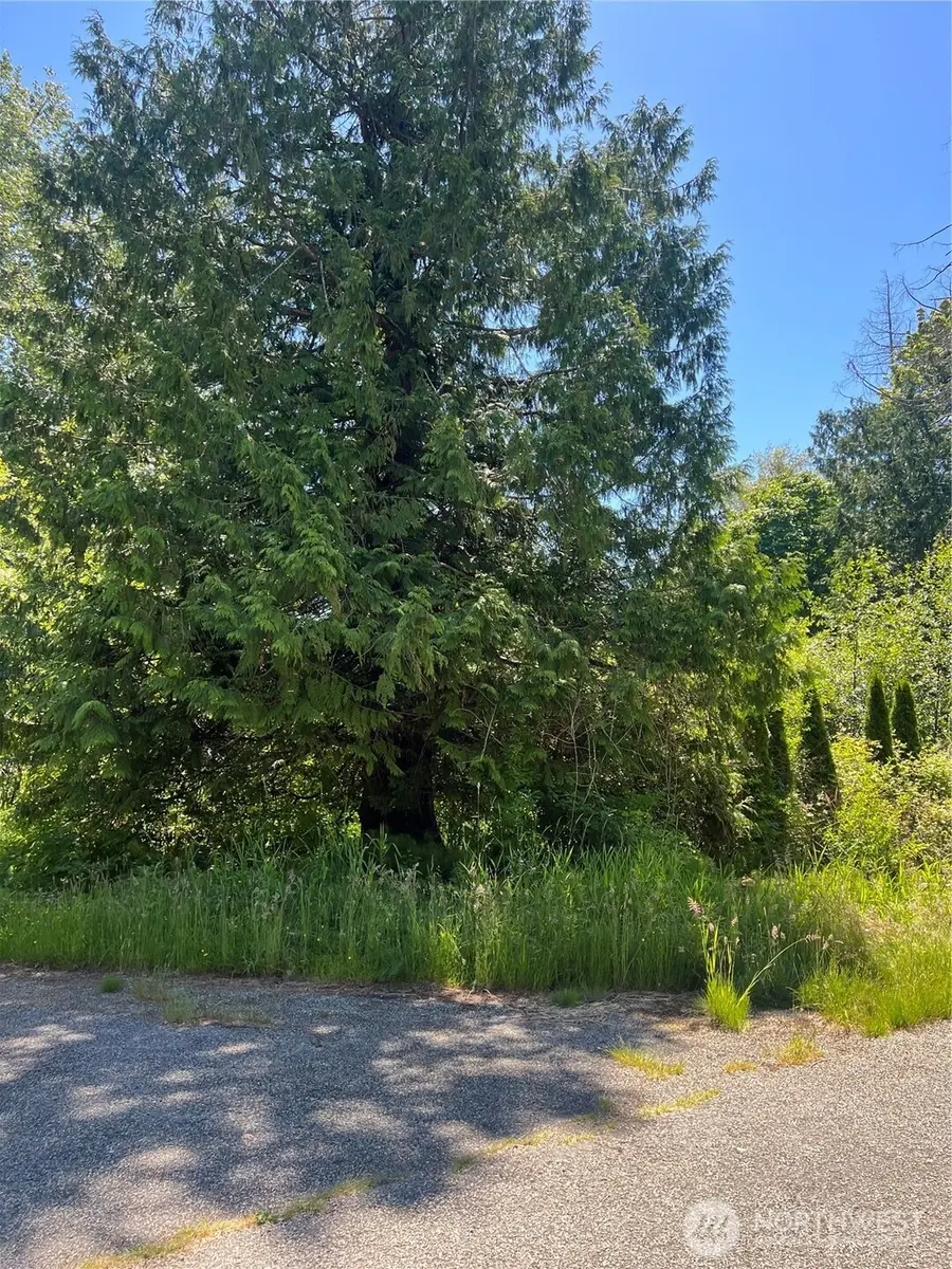0 Jonna Drive #43, Point Roberts, WA 98281 - #2