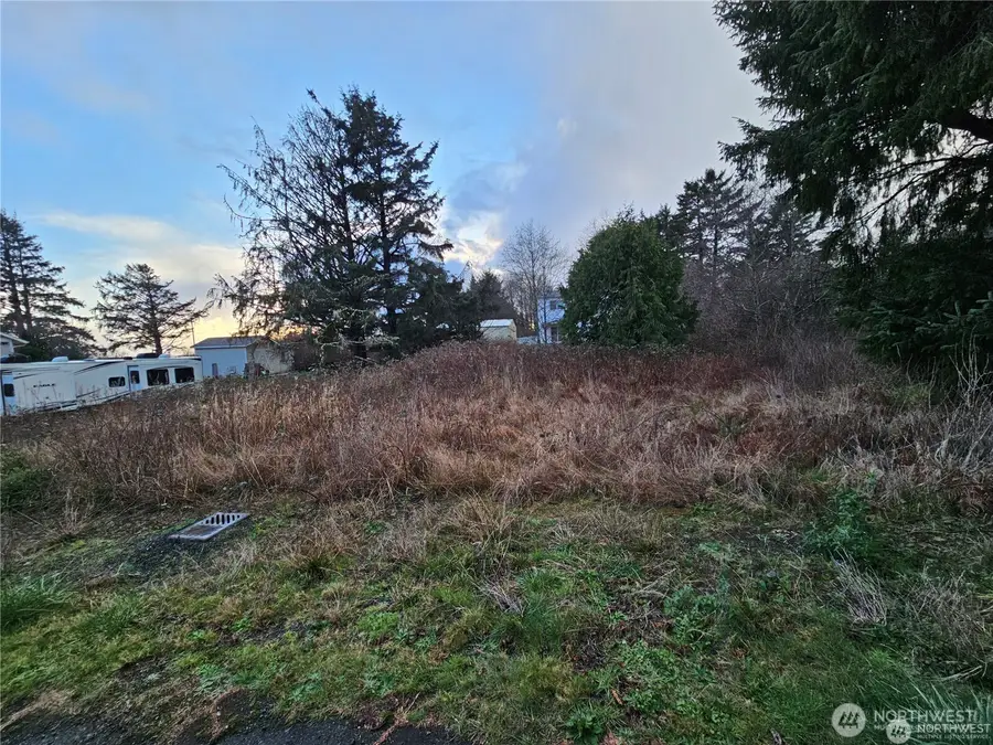 17 N 3rd Street, Pacific Beach, WA 98571 - #3