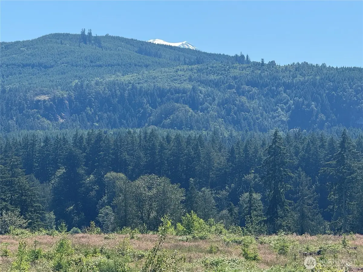 0 114th Avenue Ct E, Eatonville, WA 98328 - #1