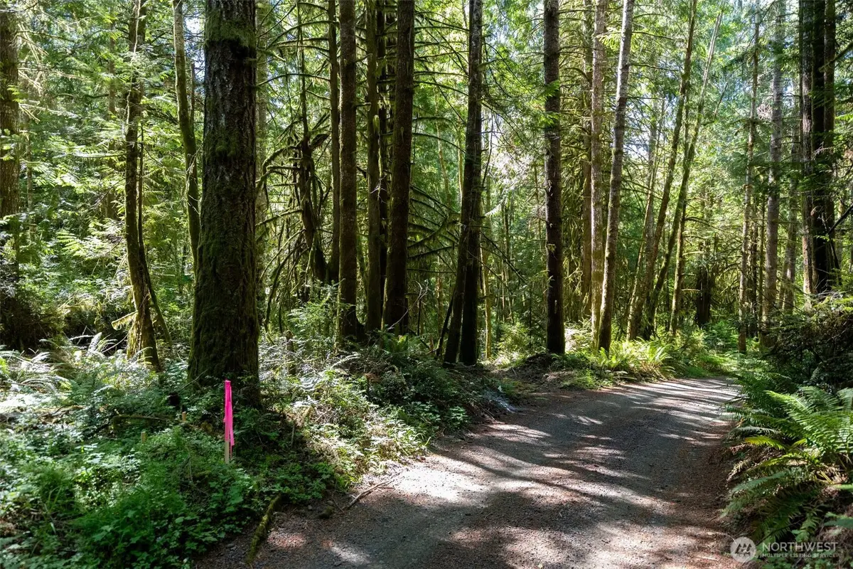 1781 E Sunset Hill Road #22134-75-00070, Shelton, WA 98584 - #1