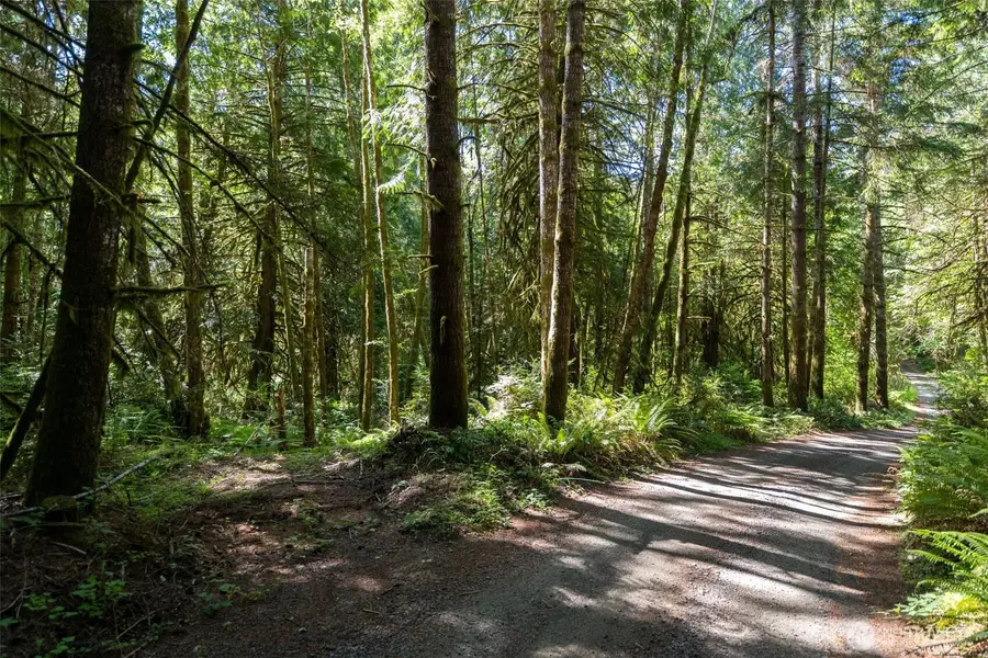 1781 E Sunset Hill Road #22134-75-00070, Shelton, WA 98584 - #2