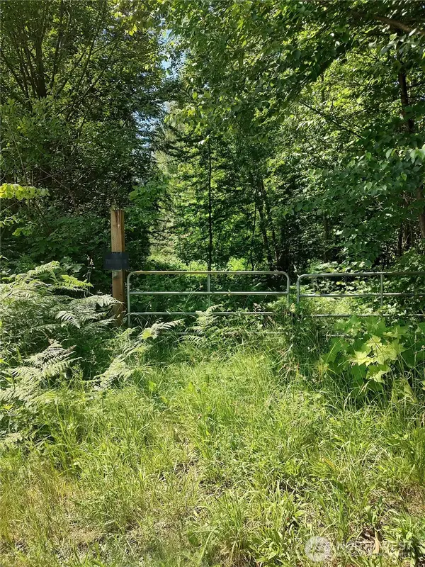 0 Custer School Road, Custer, WA 98240
