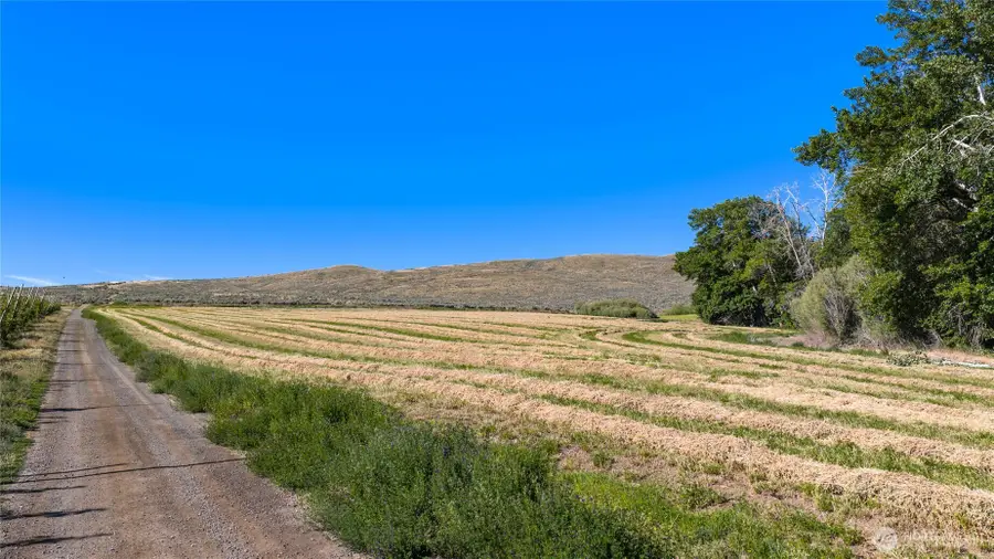 1 Borland, Ellensburg, WA 98926 - #3