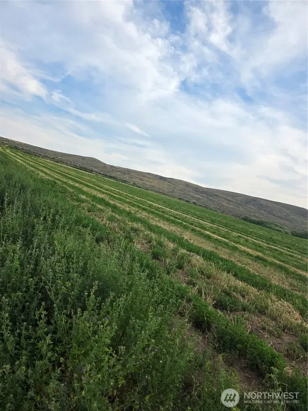 2 Borland, Ellensburg, WA 98926