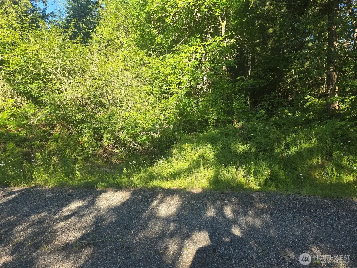 13811 Starflower Lane Se #3, Yelm, WA 98597 - #1