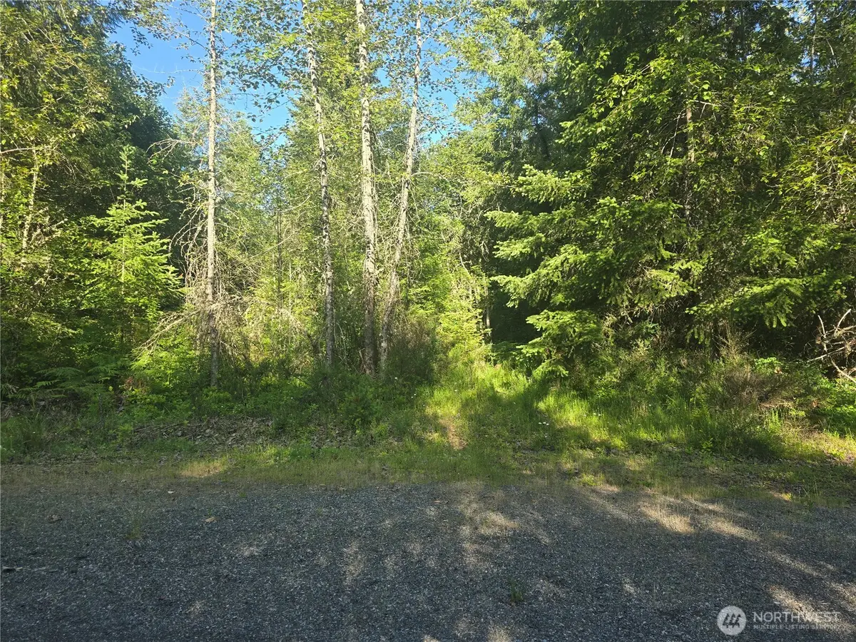 13721 Starflower Lane Se #2, Yelm, WA 98597 - #1