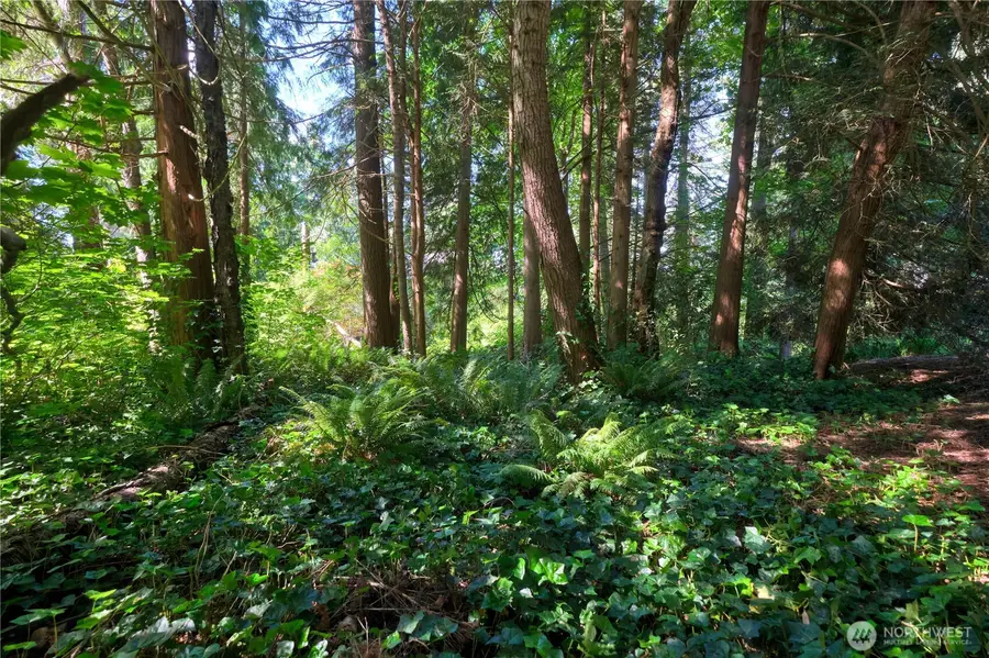 0 Province Road #67, Point Roberts, WA 98281 - #3
