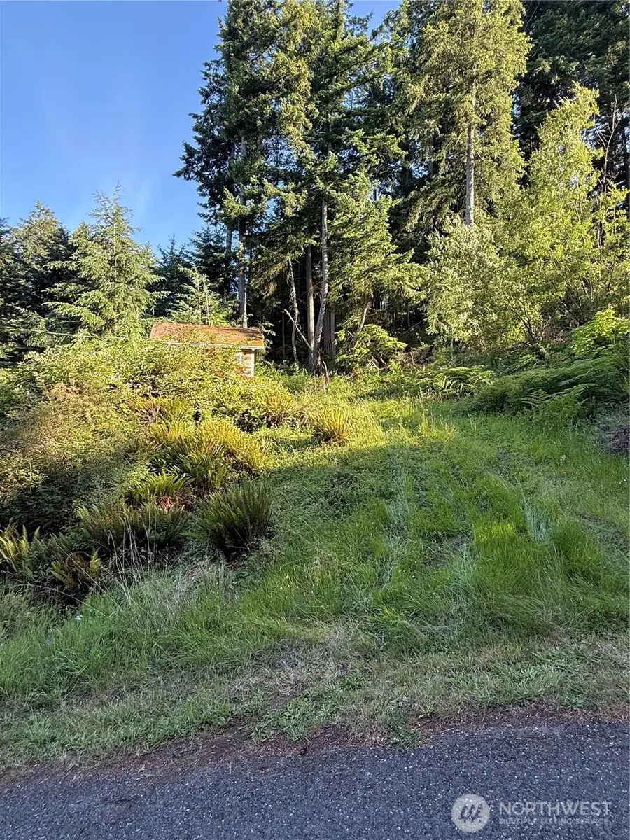 2959 Dogwood Terrace #24, Lummi Island, WA 98262 - #2