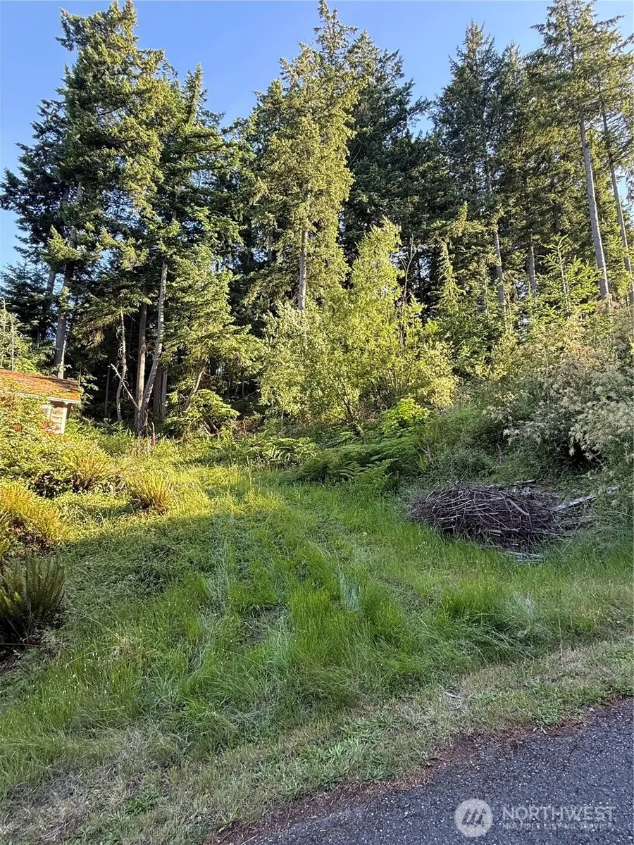 2959 Dogwood Terrace #24, Lummi Island, WA 98262 - #3