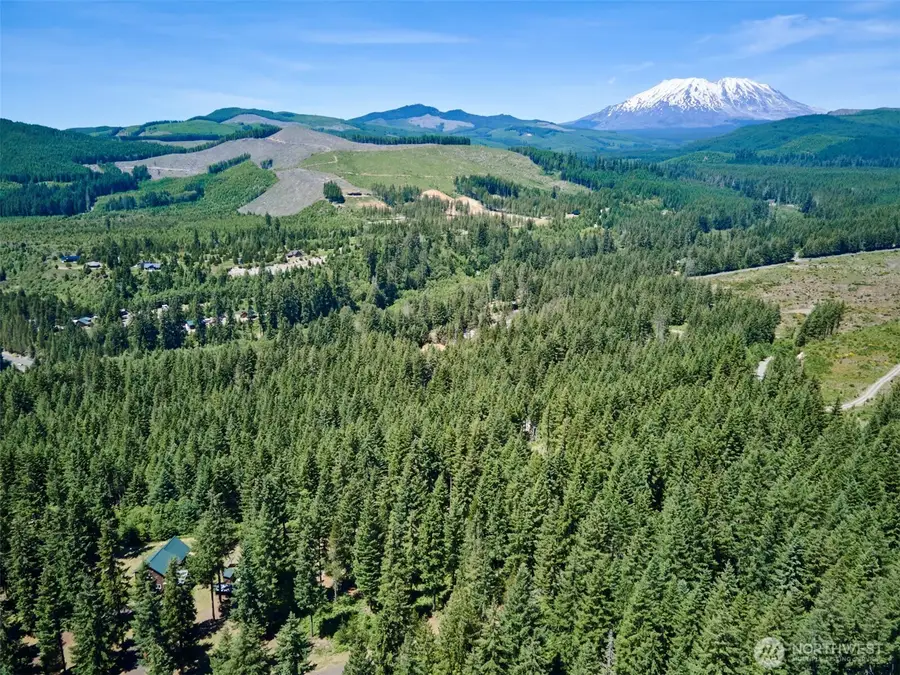 0 Loowit Lane #1, Cougar, WA 98616 - #2