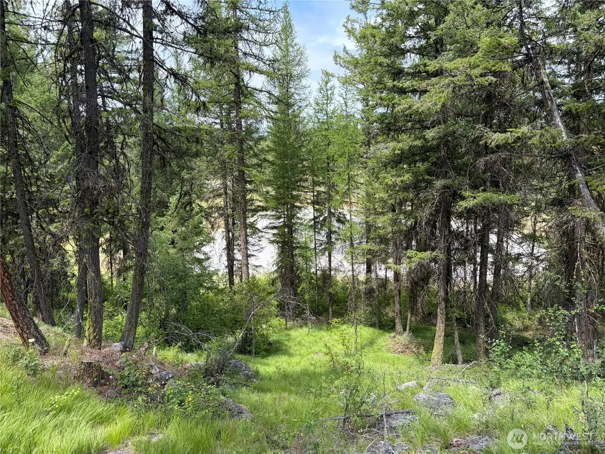 33 Outback Road, Oroville, WA 98844 - #1