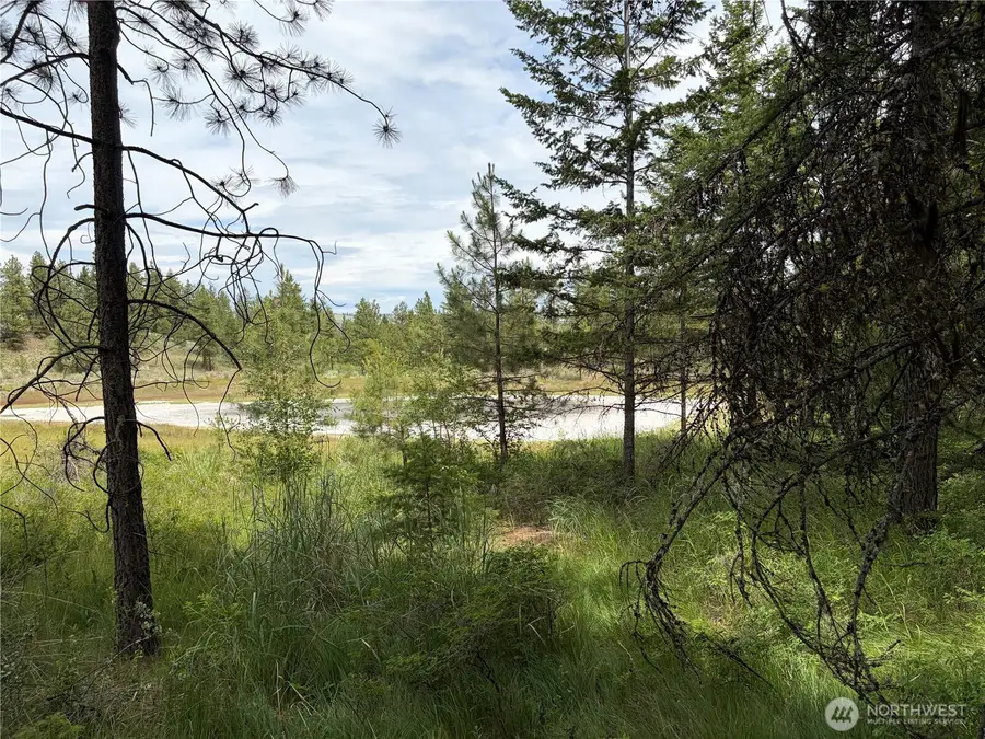 33 Outback Road, Oroville, WA 98844 - #3