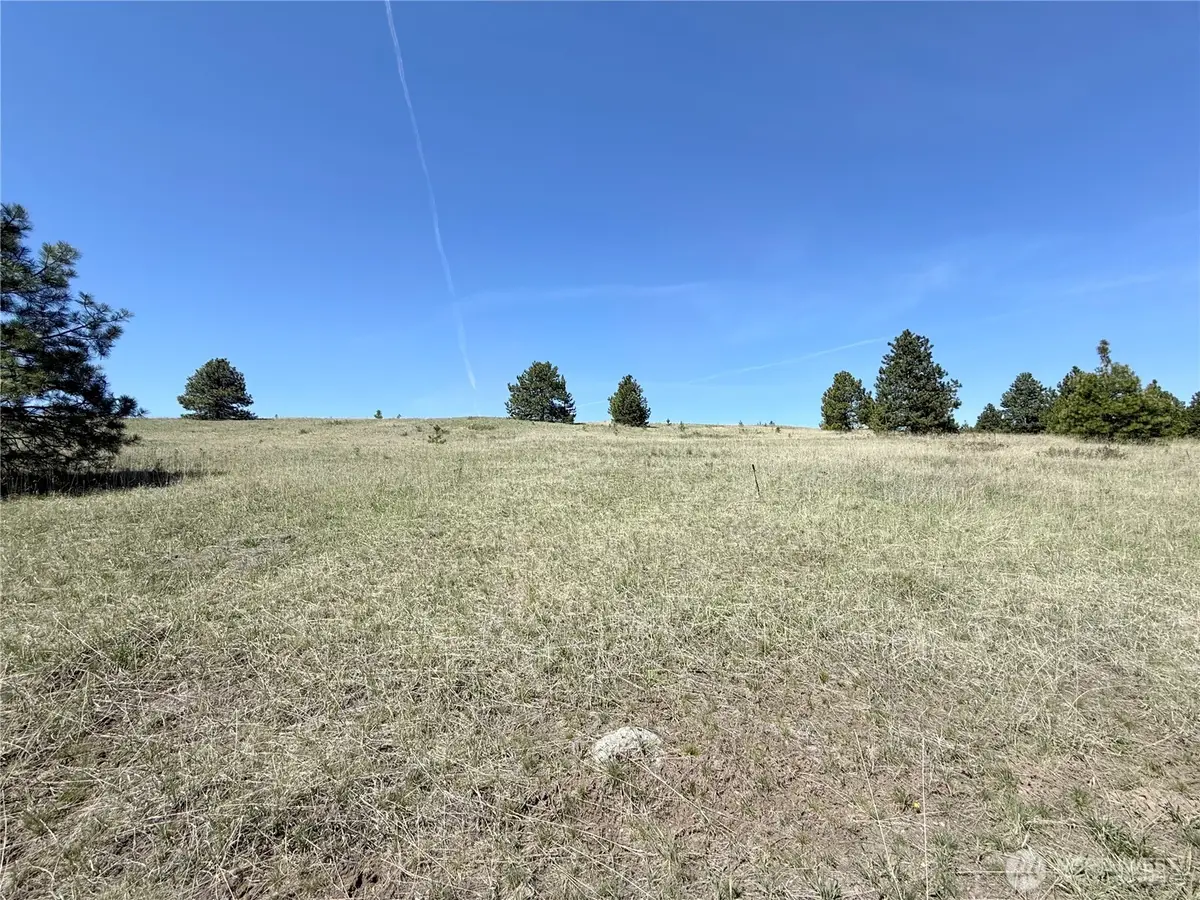 35 Sqove Road, Wauconda, WA 98859 - #1