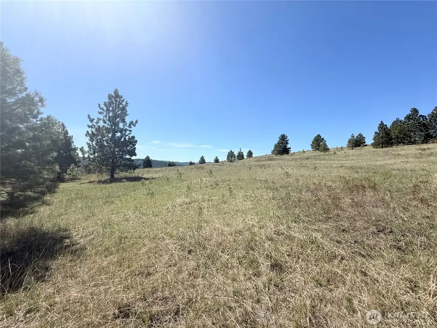 35 Sqove Road, Wauconda, WA 98859 - #3