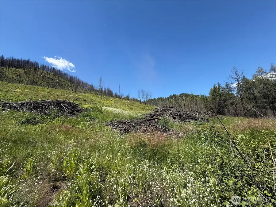 0 4th Of July Creek Road #32, Danville, WA 99121 - #3